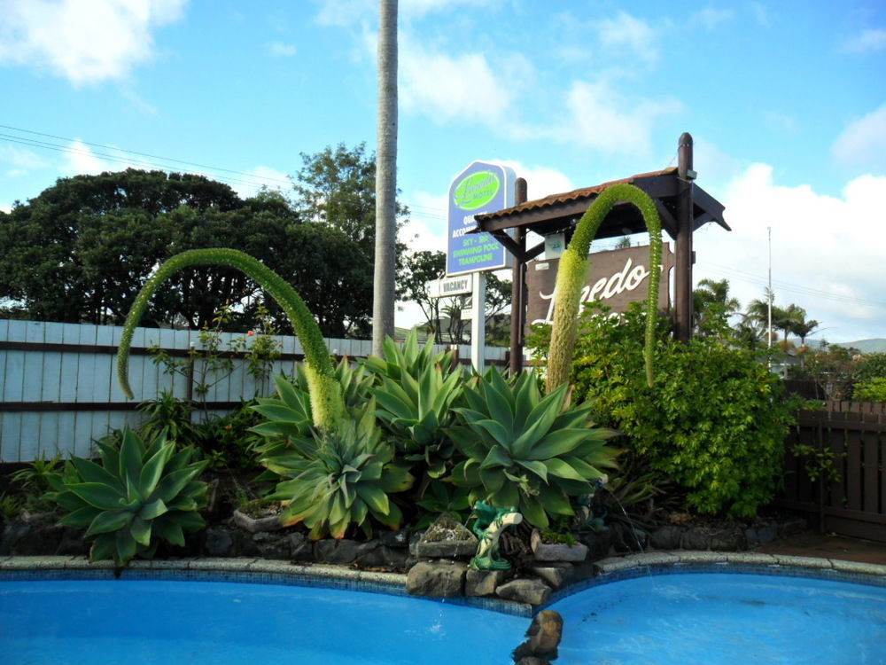 Loredo Motel Kaitaia Exterior photo